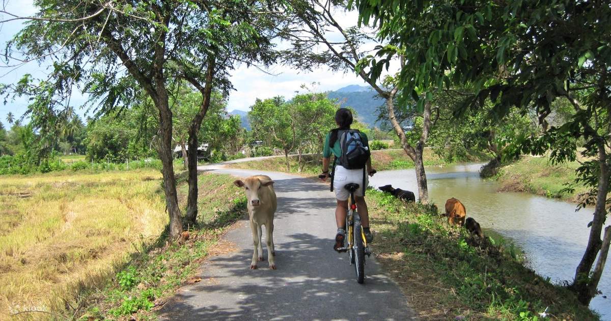 Langkawi cycling online